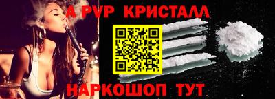 твердый Бердск