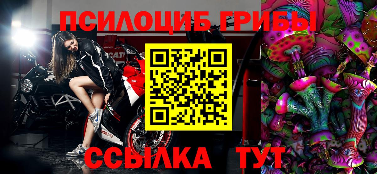 Владикавказ  Псилоцибиновые грибы прущие грибы  Вход с VPN  Псилоцибиновые грибы прущие грибы 