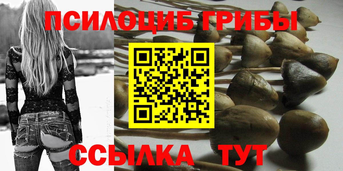 Галлюциногенные грибы Psilocybe Владикавказ